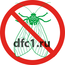 Уничтожение моли в Краснотурьинске