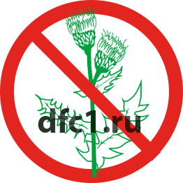 Уничтожение Борщевика в Краснотурьинске