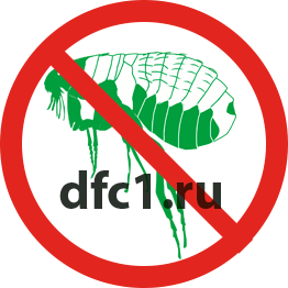 Уничтожение блох в Краснотурьинске