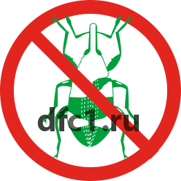 Уничтожение долгоносиков в Краснотурьинске