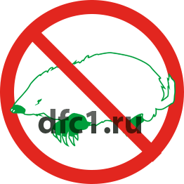 Уничтожение кортов в Краснотурьинске