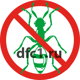 Уничтожение муравьёв в Краснотурьинске