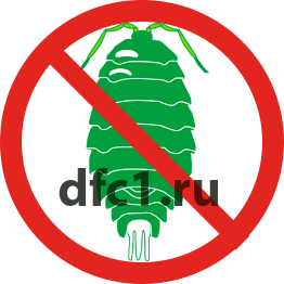 Уничтожение мокриц в Краснотурьинске