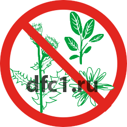 Уничтожение Борщевика в Краснотурьинске