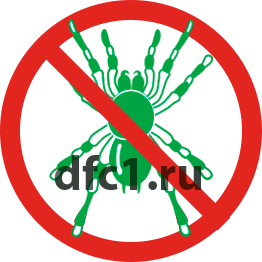 Уничтожение пауков в Краснотурьинске