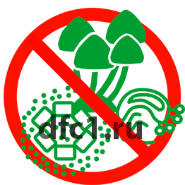 Обработка от плесени в Краснотурьинске