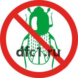 Шашель борьба в Краснотурьинске