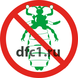 Уничтожение вшей в Краснотурьинске