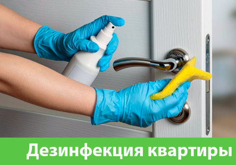 Дезинфекция квартиры в городе Краснотурьинск