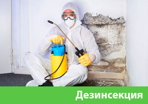 Дезинсекция в городе Краснотурьинск