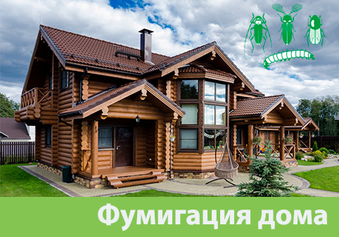 Преимущества обработки газом в городе Краснотурьинск