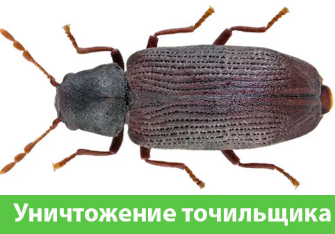 Обработка от точильщика в городе Краснотурьинск