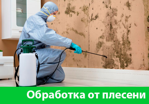Обработка от плесени в городе Краснотурьинск