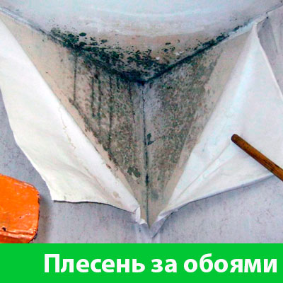 Удаление плесени в Краснотурьинске